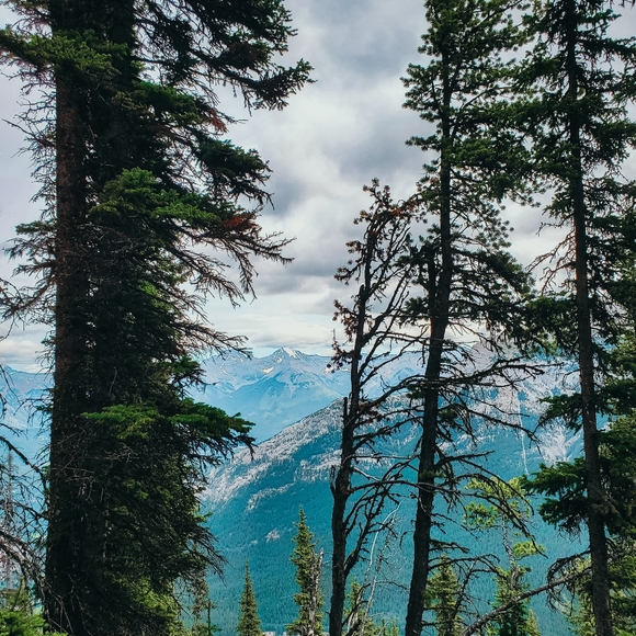 Meet your Posher, Azi - Picture 1 of 1